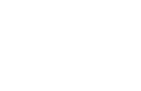 WordPress Development